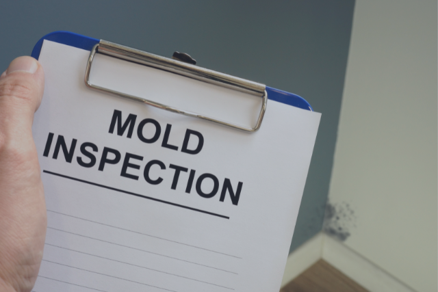 Do I Really Need a Mold Inspection?