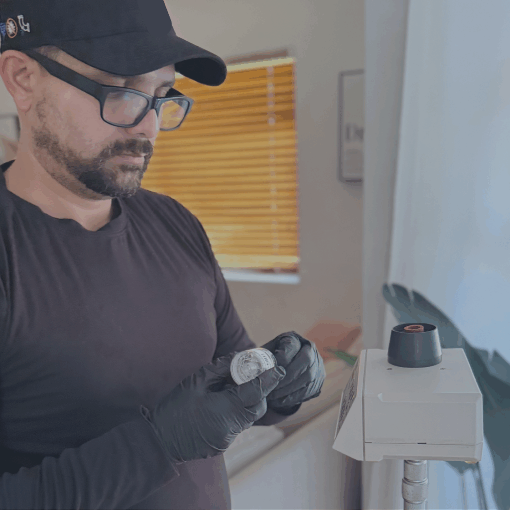 mold inspection-process