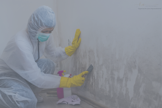Mold damage on building walls — early warning signs property managers should not ignore