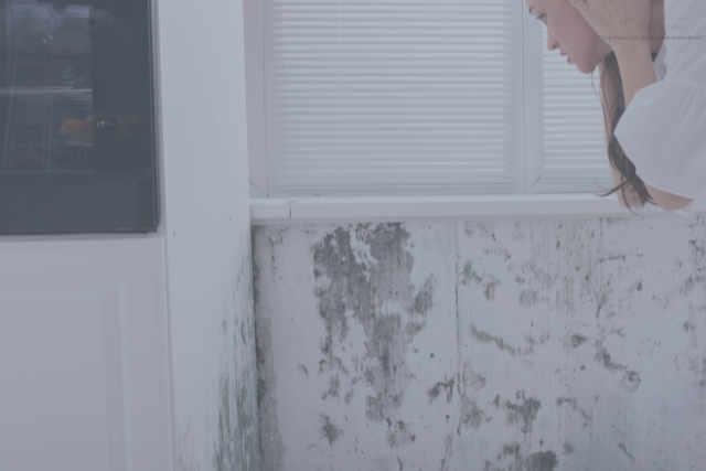 technical mold inspection in residential drywall