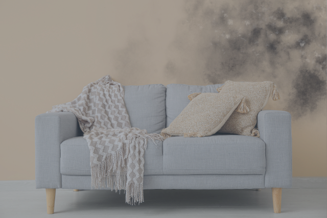 Diagram showing how poor ventilation, porous materials, and indoor humidity cause mold growth inside homes