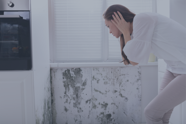 Infografía sobre por qué aparece moho en casa y cómo prevenirlo con ventilación, materiales adecuados y control de humedad