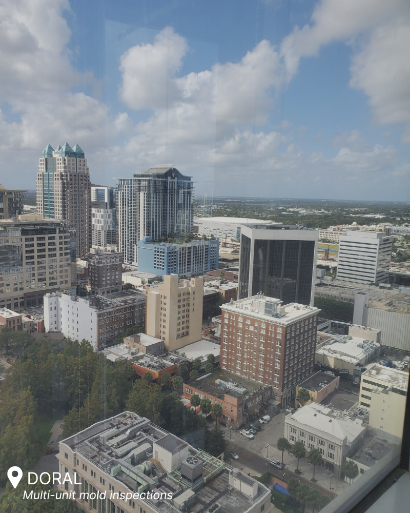 Professional mold assessment for condos and offices – Doral, Florida