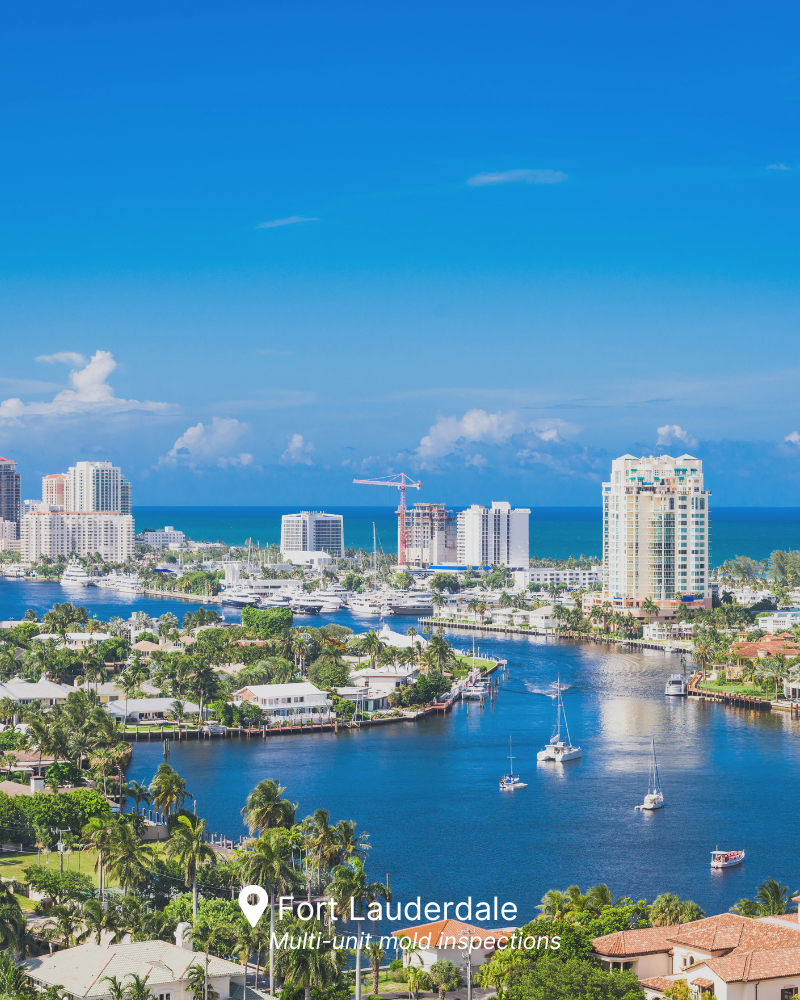 Certified mold inspection services in Fort Lauderdale
