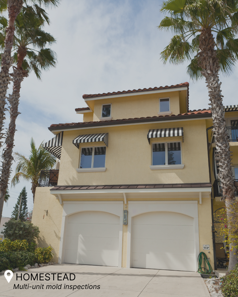 Expert mold inspection in family homes and rural properties – Homestead, FL