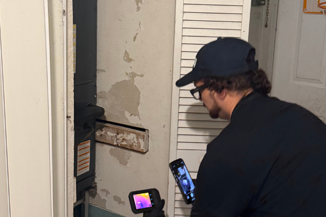 Visible black mold