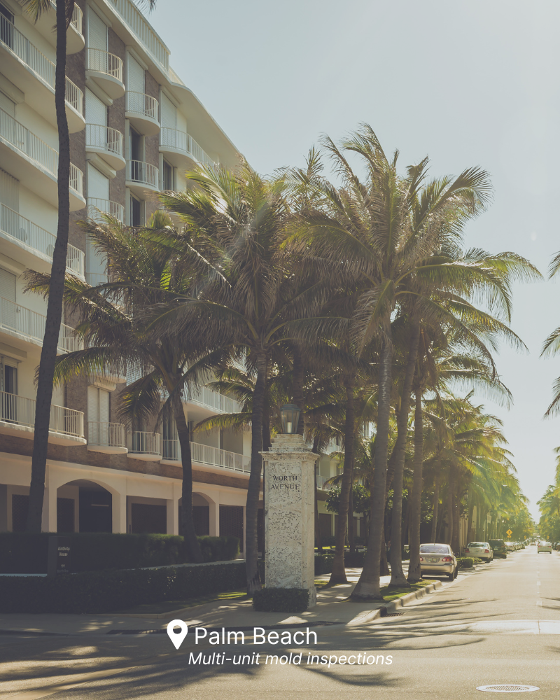 Certified mold inspection for luxury homes and condos in Palm Beach, Florida
