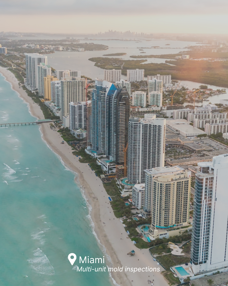 Certified mold inspection services in high-rise condos and homes throughout Miami, Florida
