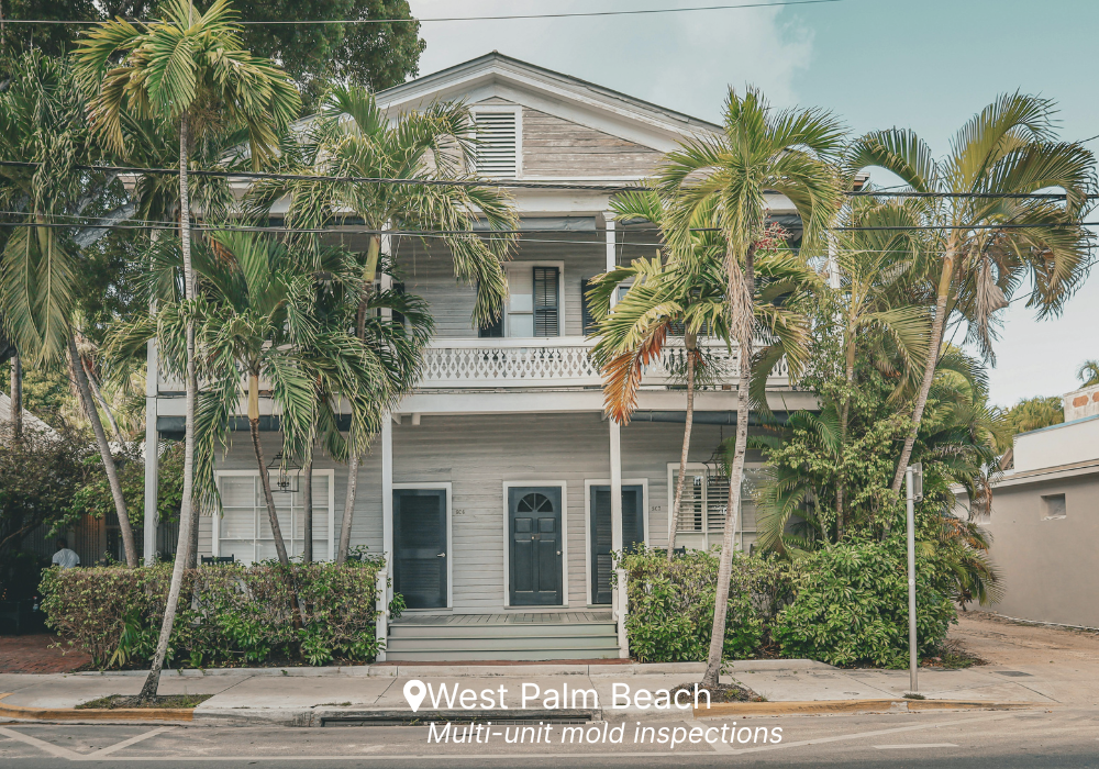Professional mold inspection in West Palm Beach homes and buildings – licensed and certified.