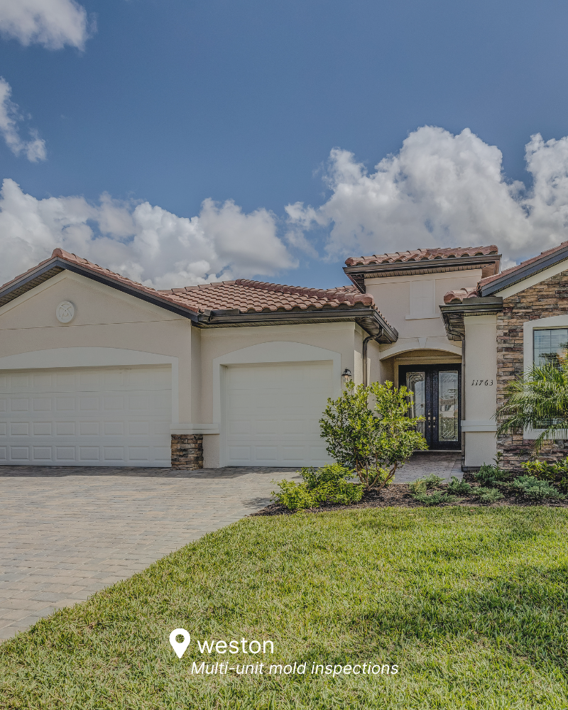 Certified mold inspection services in Weston